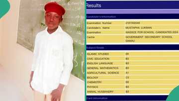 WAEC 2024 result of boy who scored 136 in UTME and wants to study computer science amazes people