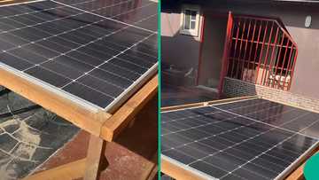 Tenant installs solar panels on ground as landlord denies permission for roof mounting