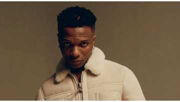 Made this with a lot of love: Wizkid excites fans as he confirms the completion of album 'More Love Less Ego'
