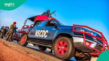 Niger miners’ deaths: Mining Marshals deny involvement, fault suspended commandant