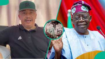 "City Boy is Working": Daddy Freeze Hails Tinubu, Raises Concern As Dollar Approaches N1,000