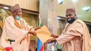 Hadimin da Ganduje ya sallama daga aiki yace burki ya tsinkewa Gwamnan jihar Kano