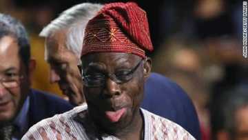 2023 presidency: Bubbles burst as name of candidate Obasanjo will support springs up