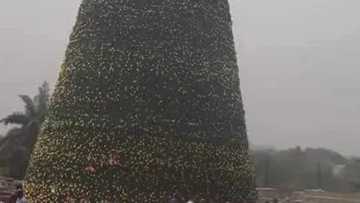 SEE Christmas Tree That Cost Imo State Government N600 Million (PHOTO)