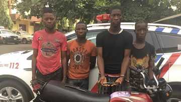 Na sayi bindiga daga hannun abokina N9,000 – Mai bada hayan bindiga ga barayin babur