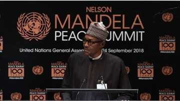 Yanzu Yanzu: Shugaba Buhari yayi jawabi a taron zaman lafiya na Majalisar Dinkin Duniya (hoto)