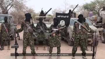 Da Ɗuminsa: Boko Haram ta naɗa sabon shugaba bayan tabbatar da mutuwar Sheƙau