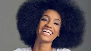 Di'ja's biography: Life and career