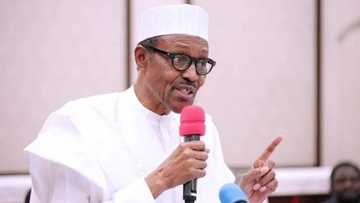 2019: President Buhari tells supporters to stop campaigns for his re-election