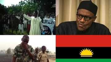 Only ONE thing will stop Biafra, Avengers, Boko Haram – Man of God predicts
