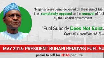 Buhari in 2011: 'Anybody who says he is subsidising anything is a fraud' (video)