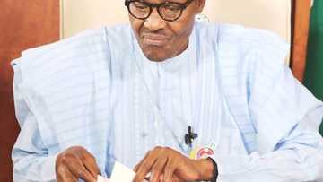 Buhari ya jinjina wa NBA a kokarin inganta zaman lafiya da sulhu a arewa maso gabas