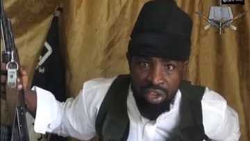 Boko Haram: Shekau Ya Sheke Wani Babban Kwandansa, Ya Nada Sabon Kwamanda