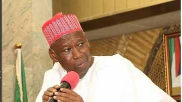 Gwamnatin Kano Tace ta ƙwace filaye kimanin 400 daga Hannun Mutane