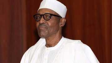 Buhari’s re-election bid has been perfected - Al-Makura declares