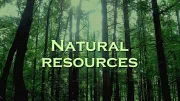 Natural resources in Nigeria and their locations