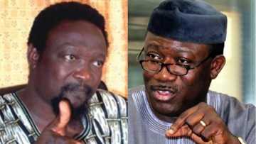 Ekiti APC chair reveals what will make Fayemi win July election