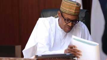 Buhari's health: Embassy source makes stunning revelation of president's status