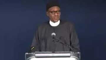 Wow! Read how much Buhari said he has saved since he took over power