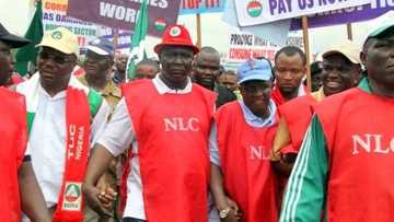 Minimum wage: FG sets up committee to review workers salaries