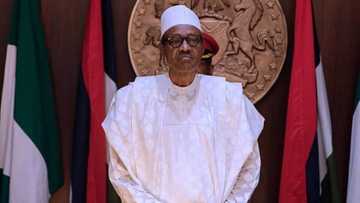 EndSARS: Buhari ya umarci ministocinsa da su koma jihohinsu