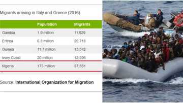 Nigerians top list of people running away from their countries (SEE list and numbers)
