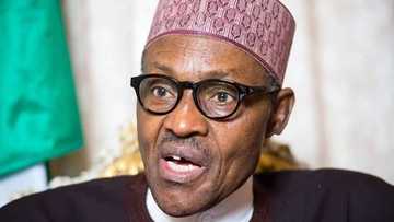 Buhari makes striking confession about EFCC operations