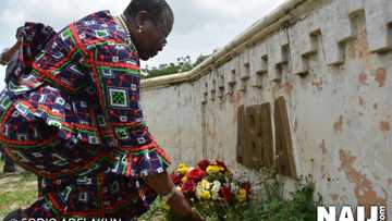 Plateau kilings: Are we in a war? Buhari you must respond with action - Oby Ezekwesili mourns