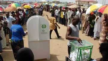 Zaben ƙananan hukumomi: Yan takarkaru 100 ke zawarcin kujerun Ciyaman 23 a jam’iyyar APC ta jihar Kaduna