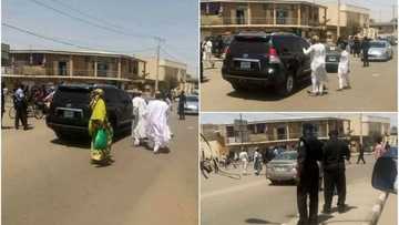 An yiwa wakilan Kwankwaso korar kare a wurin daurin auren diyar Dangote