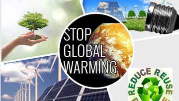 Dumamar yanayi: 2018 fa ta ajje tarihi kan zafafar duniya, bil-Adama zai tuntsuras da Al-Ardu