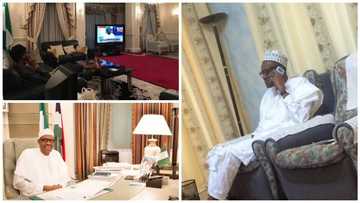 REVEALED! What President Buhari does first when he gets to his office every day