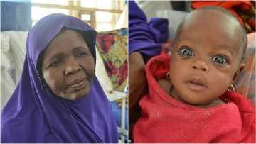 Boko Haram: Wata tsohuwa a Borno ta ceci jaririya ta wannan hanyar a yayin gudun tsira da rai