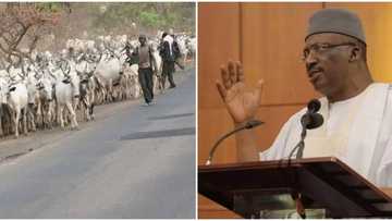 Foreign herdsmen, terrorists in BIG trouble as Nigeria launches new immigration policy