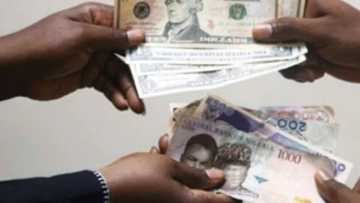 Darajar Naira na kara karfi