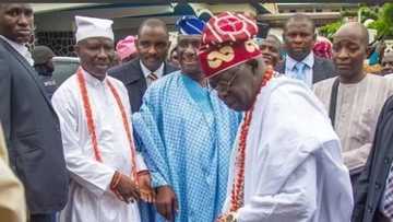 Toh fa: Shugaban yarbawa ta tona asiri, ya ce 'yan Arewa ba sa son Tinubu, abu 1 suke so