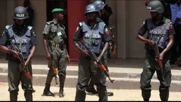 Hukumar ‘Yan Sanda ta gano bindigogi 107 a jihar Anambara