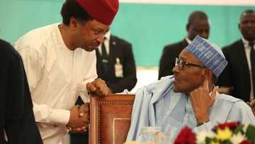 Abinda ya hana ni ficewa daga jam'iyyar APC - Shehu Sani