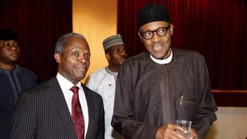 I get half salary because of Buhari - Osinbajo