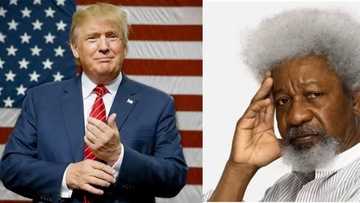 TRUMP'S VICTORY: See photo of Soyinka returning to Nigeria to tear his green card