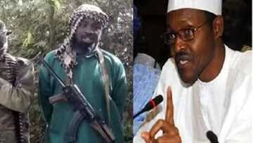 Shekau Mocks President Buhari In New Audio, Nigerians React