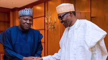 Tarihi zai bayar da mumunan labari akanmu idan aka cigaba da kashe-kashe - Dogara