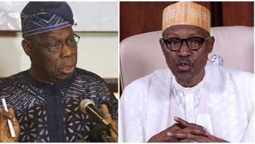 Why Obasanjo is afraid of Buhari's regime - Abubakar Tsav