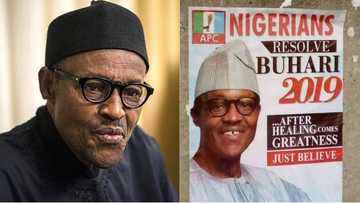 2019 presidency: Southeast is for Buhari - Abia APC chieftain boasts