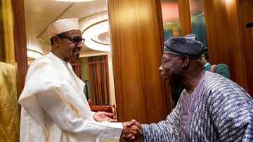 2019: Abubuwan da Obasanjo ya gaya wa shugaba Buhari a wasikarsa don kar yayi takara a badi