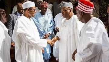 Mutane 5 da suka sanya Buhari ya sake tsayawa takara a zaben 2019