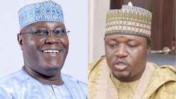 Shettima blasts Atiku, says north is waiting for how Igbo will make him president in 2019