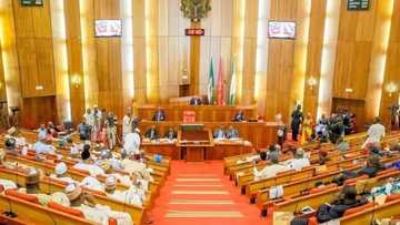 Nigerian Senate mourns as several people reportedly die in attack on herders in Zamfara