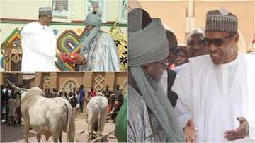 A karamci irin na Sarkin Bauchi ya baiwa shugaba Buhari muhimman kyautuka guda biyu (Hotuna)