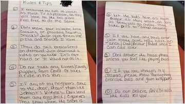 Hahaha! See the hilarious set of rules a NO-NONSENSE mum left for her babysitter (photos)